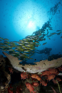 The beauty of Sodwana by Allen Walker 